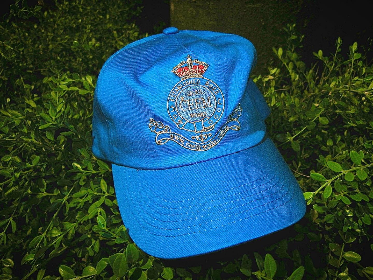 Ceemworks Royal Logo 6-Panel